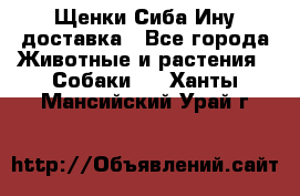 Щенки Сиба Ину доставка - Все города Животные и растения » Собаки   . Ханты-Мансийский,Урай г.